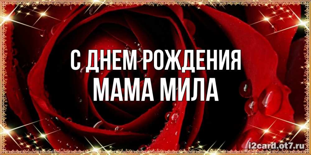 Открытка на каждый день с именем, Мама-Мила С днем рождения цветок в росе на день рождения Прикольная открытка с пожеланием онлайн скачать бесплатно 
