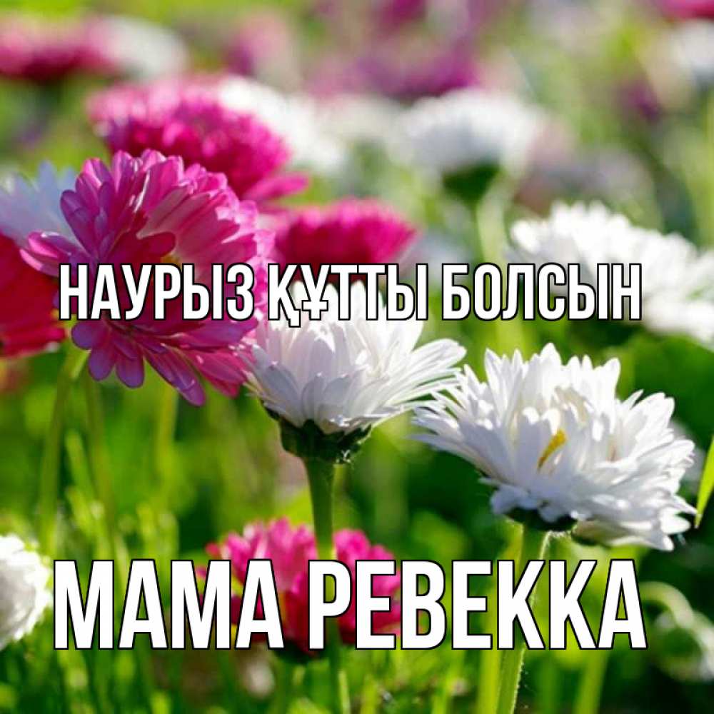 Открытка на каждый день с именем, Мама-Ревекка Наурыз құтты болсын наурыз Прикольная открытка с пожеланием онлайн скачать бесплатно 