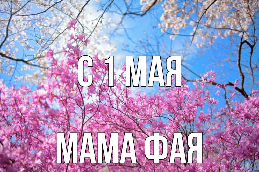 Открытка на каждый день с именем, Мама-Фая С 1 мая С 1 мая Прикольная открытка с пожеланием онлайн скачать бесплатно 