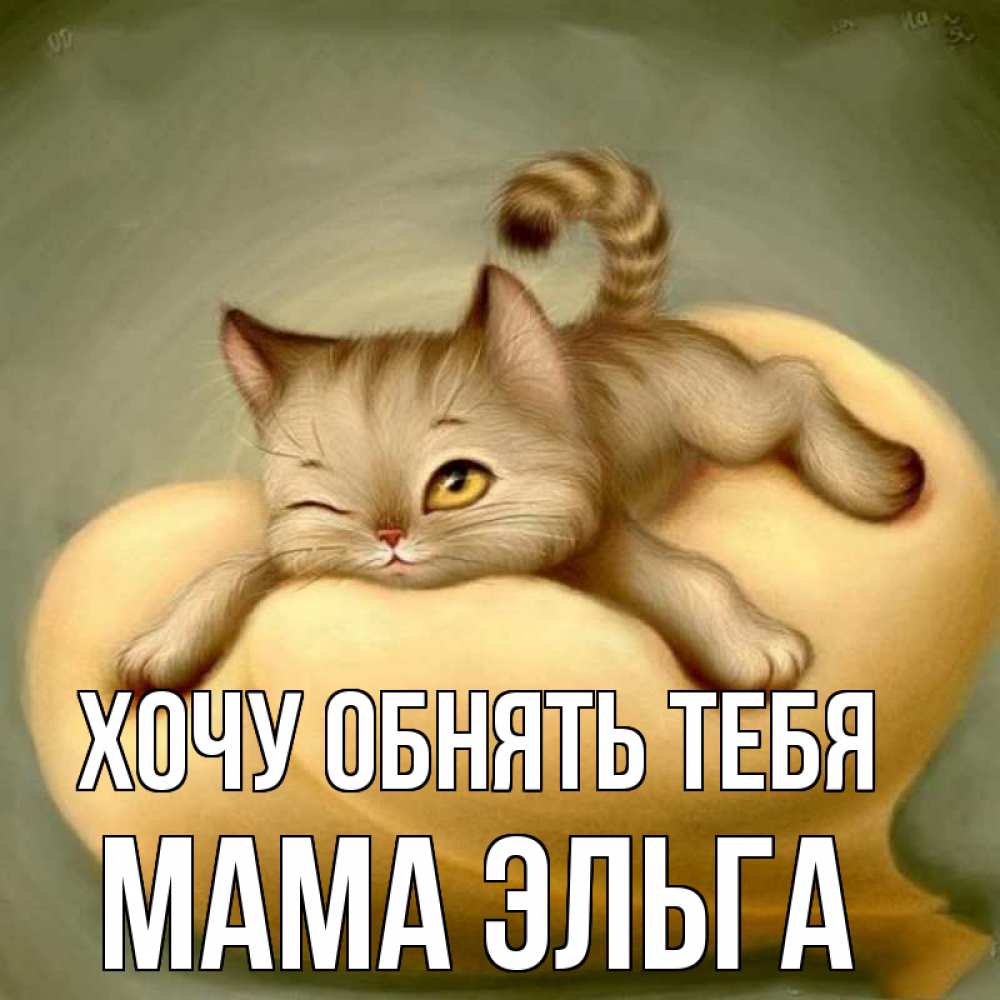 Открытка на каждый день с именем, Мама-Эльга Хочу обнять тебя кошечка Прикольная открытка с пожеланием онлайн скачать бесплатно 