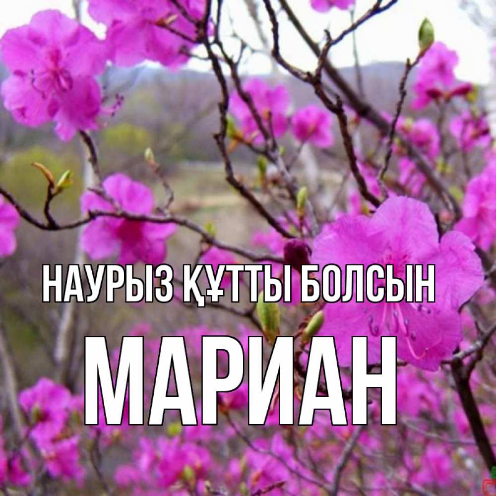 Открытка на каждый день с именем, Мариан Наурыз құтты болсын наурыз мейрамы кутты болсын Прикольная открытка с пожеланием онлайн скачать бесплатно 