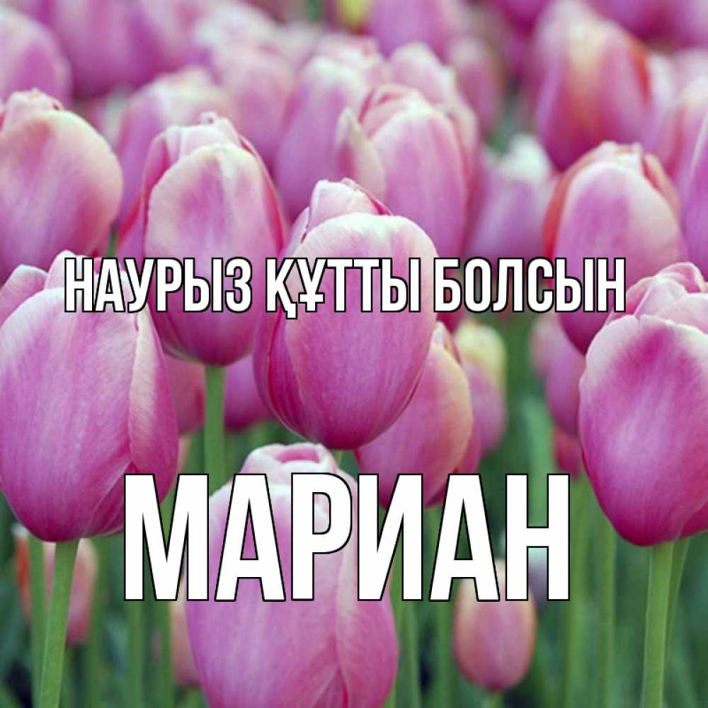 Открытка на каждый день с именем, Мариан Наурыз құтты болсын на наурыз  день 3 Прикольная открытка с пожеланием онлайн скачать бесплатно 
