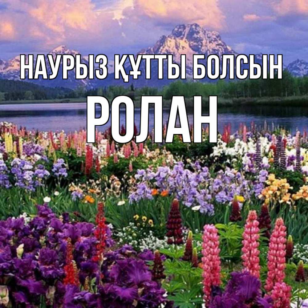 Открытка на каждый день с именем, Ролан Наурыз құтты болсын наурыз Прикольная открытка с пожеланием онлайн скачать бесплатно 