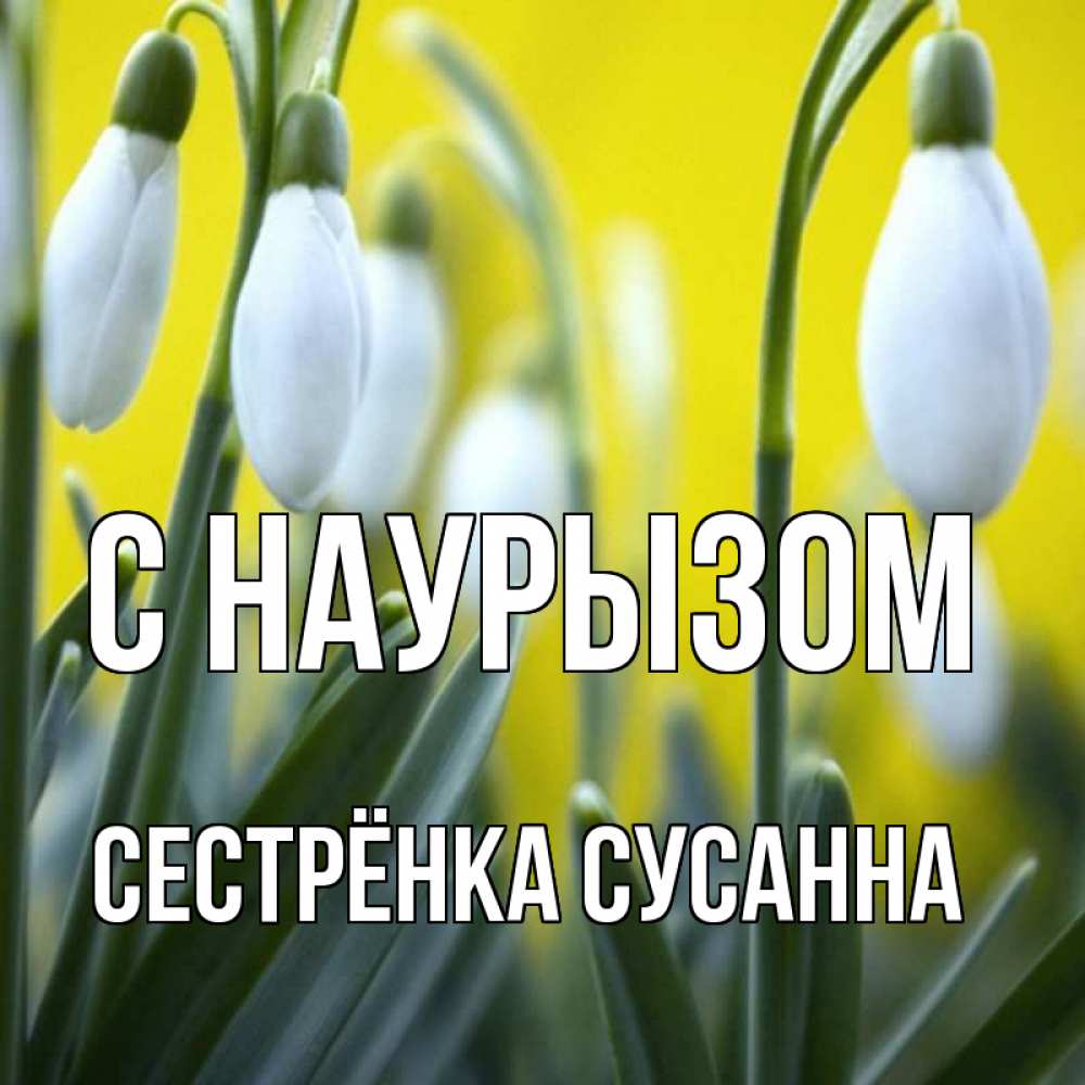 Открытка на каждый день с именем, Сестрёнка-Сусанна С наурызом весенние цветы Прикольная открытка с пожеланием онлайн скачать бесплатно 