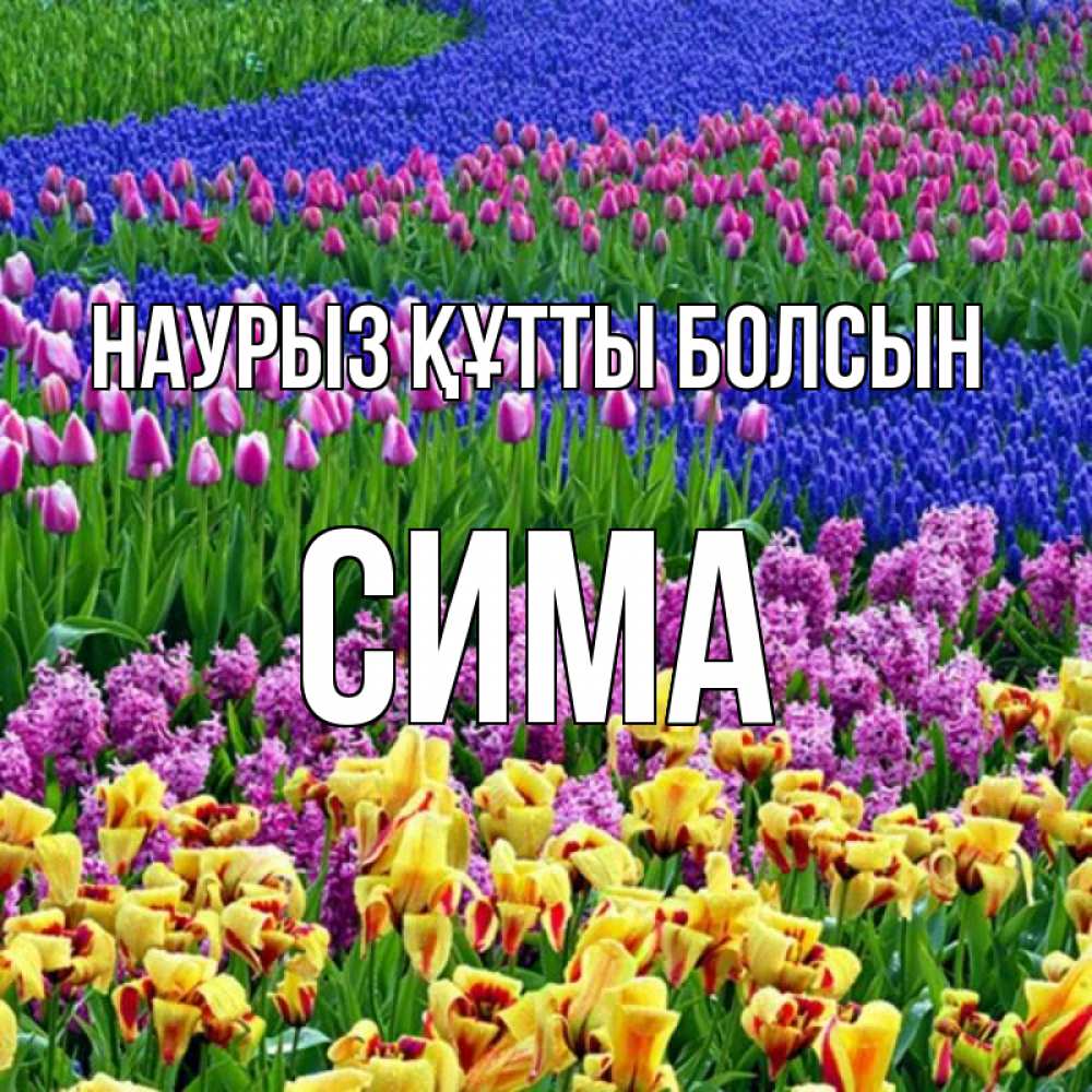 Открытка на каждый день с именем, Сима Наурыз құтты болсын цветы Прикольная открытка с пожеланием онлайн скачать бесплатно 