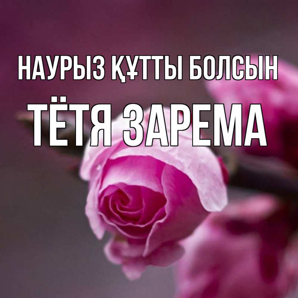 Открытка на каждый день с именем, Тётя-Зарема Наурыз құтты болсын весна Прикольная открытка с пожеланием онлайн скачать бесплатно 