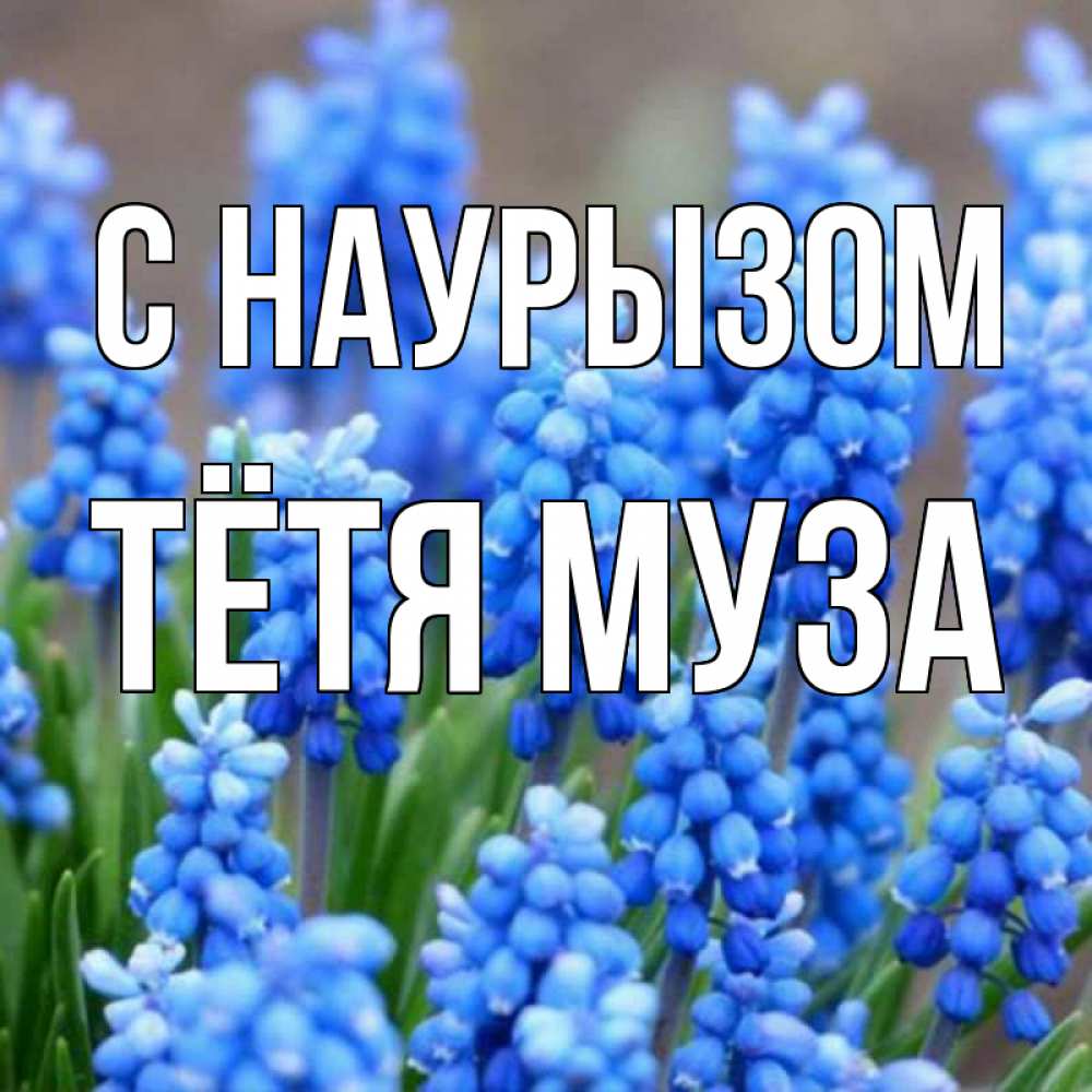 Открытка на каждый день с именем, Тётя-Муза С наурызом Поздравительная открытка для женщин с цветами на праздничную дату Прикольная открытка с пожеланием онлайн скачать бесплатно 