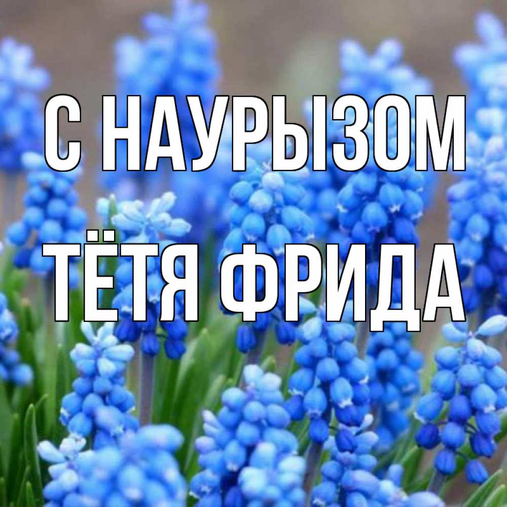 Открытка на каждый день с именем, Тётя-Фрида С наурызом Поздравительная открытка для женщин с цветами на праздничную дату Прикольная открытка с пожеланием онлайн скачать бесплатно 