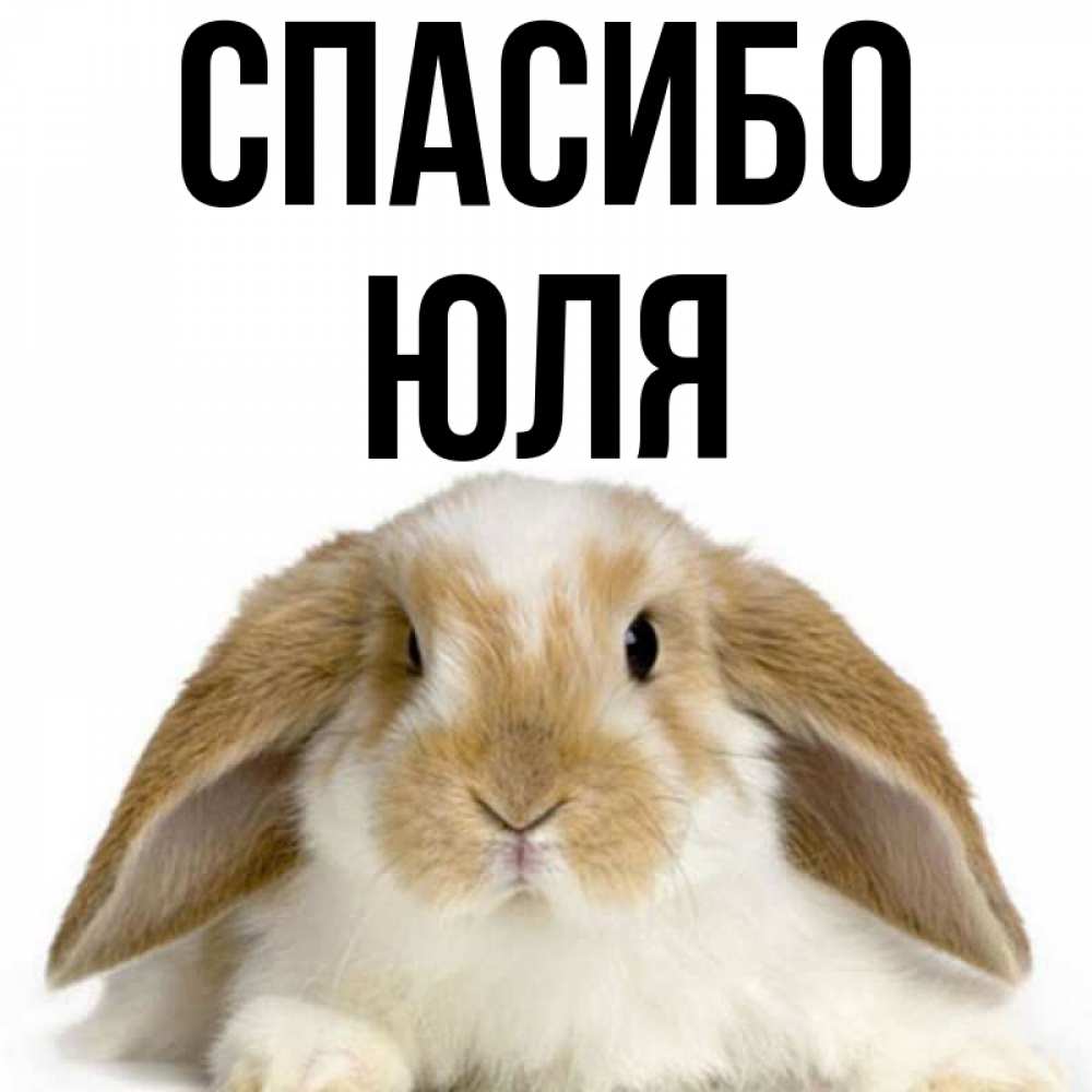 Картинки спасибо юля
