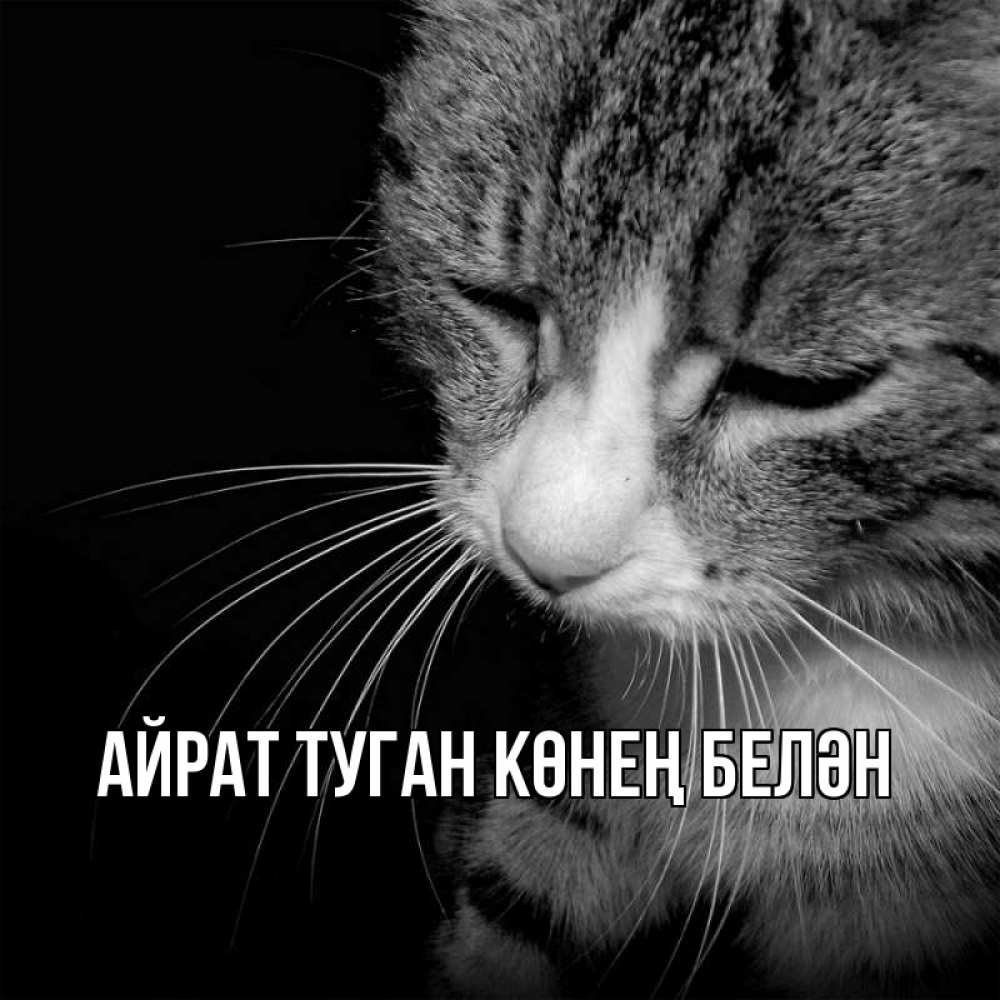 Открытка на каждый день с именем, Айрат-туган-көнең-белән Главная мне скучно Прикольная открытка с пожеланием онлайн скачать бесплатно 