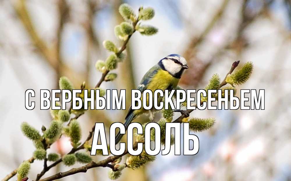 Открытка на каждый день с именем, Ассоль С вербным воскресеньем верба Прикольная открытка с пожеланием онлайн скачать бесплатно 