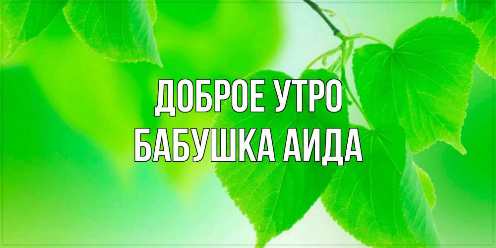 Открытка на каждый день с именем, Бабушка-Аида Доброе утро доброе утро с березовыми листьями Прикольная открытка с пожеланием онлайн скачать бесплатно 