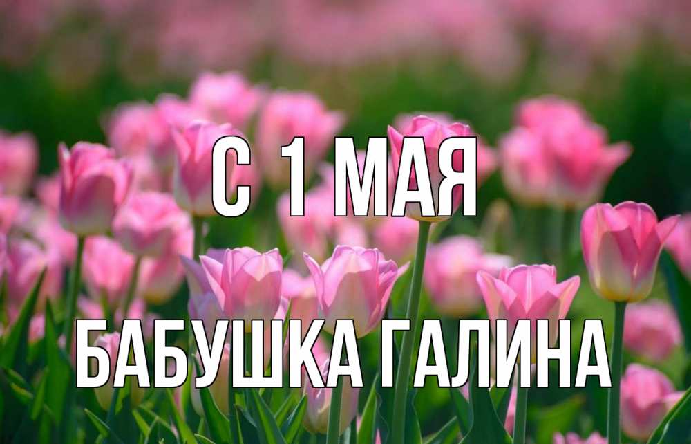 Открытка на каждый день с именем, Бабушка-Галина С 1 мая С 1 мая Прикольная открытка с пожеланием онлайн скачать бесплатно 