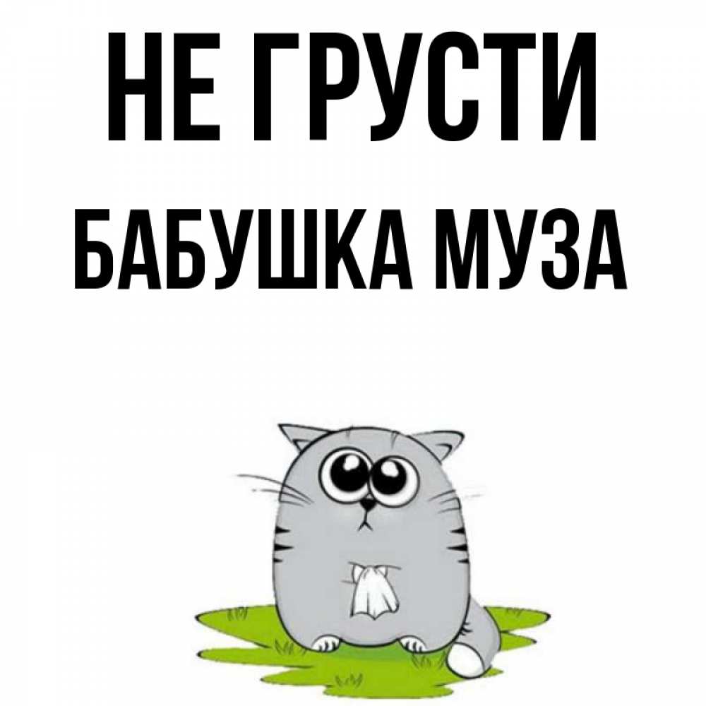 Открытка на каждый день с именем, Бабушка-Муза Не грусти грустный котяра Прикольная открытка с пожеланием онлайн скачать бесплатно 