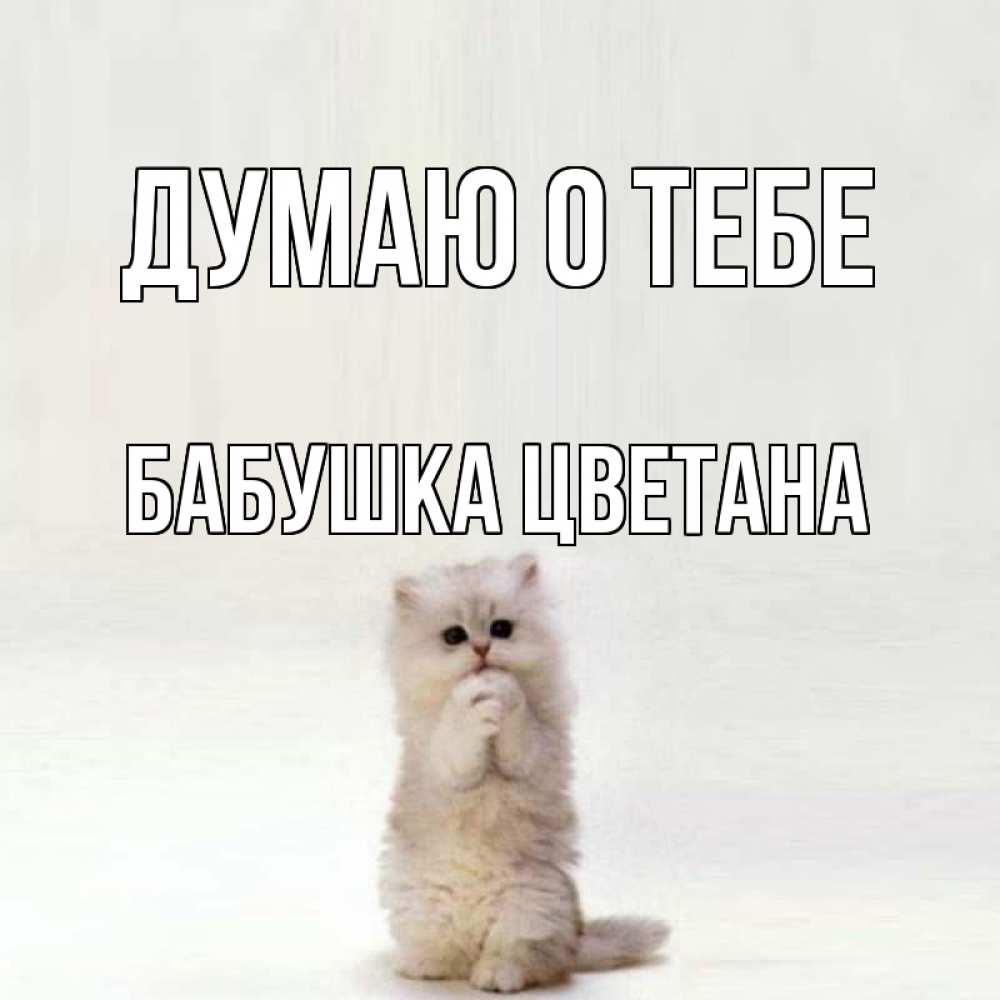 Открытка на каждый день с именем, Бабушка-Цветана Думаю о тебе кот стоит на задних лапах Прикольная открытка с пожеланием онлайн скачать бесплатно 