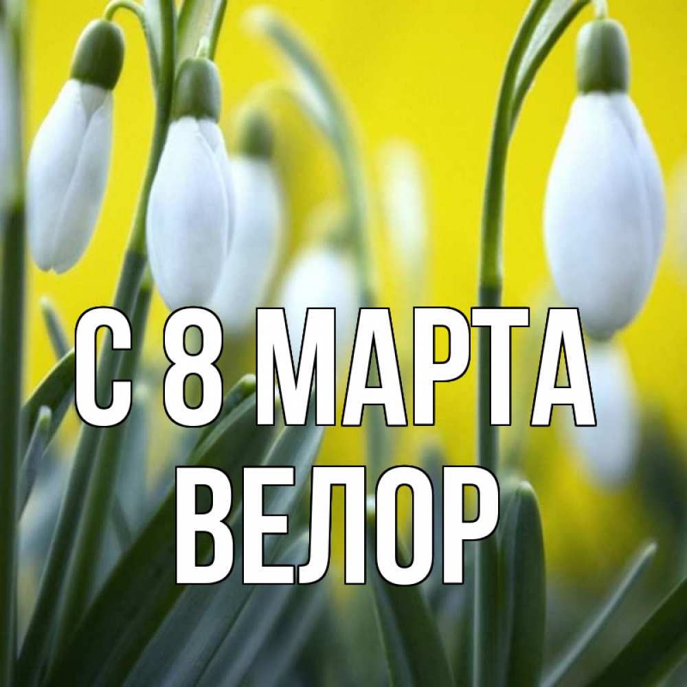 Открытка на каждый день с именем, Велор С 8 МАРТА весенние цветы Прикольная открытка с пожеланием онлайн скачать бесплатно 