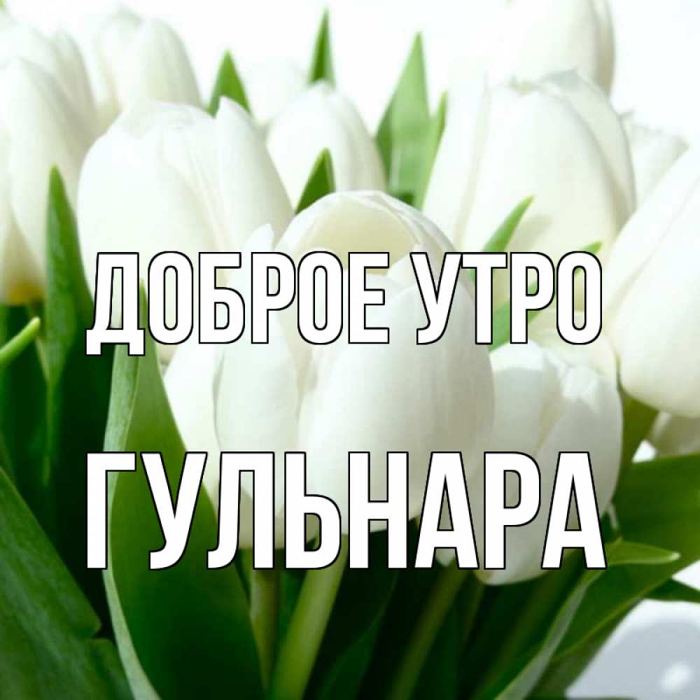 Открытка на каждый день с именем, Гульнара Доброе утро открытки на каждый день по именам Прикольная открытка с пожеланием онлайн скачать бесплатно 