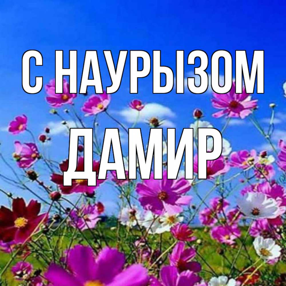 Открытка на каждый день с именем, Дамир С наурызом цветы Прикольная открытка с пожеланием онлайн скачать бесплатно 