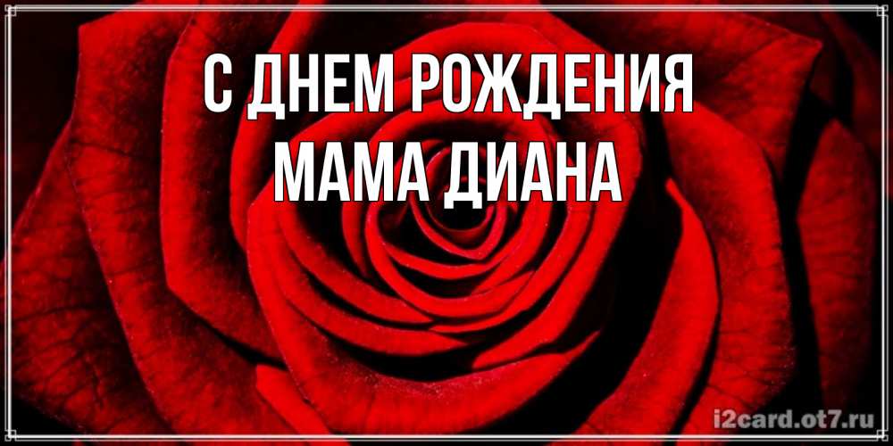 Открытка на каждый день с именем, Мама-Диана С днем рождения алая роза Прикольная открытка с пожеланием онлайн скачать бесплатно 