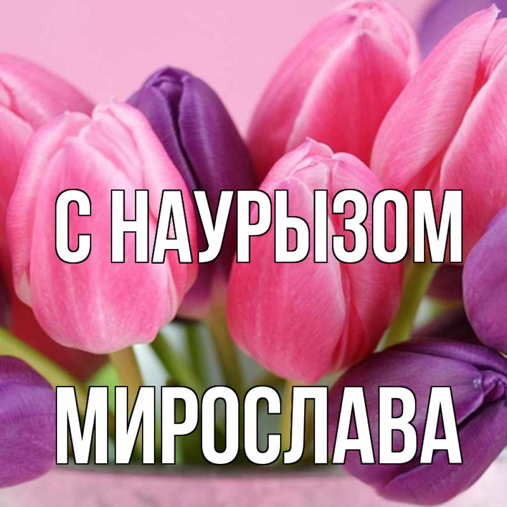 Открытка на каждый день с именем, Мирослава С наурызом маме 1 Прикольная открытка с пожеланием онлайн скачать бесплатно 