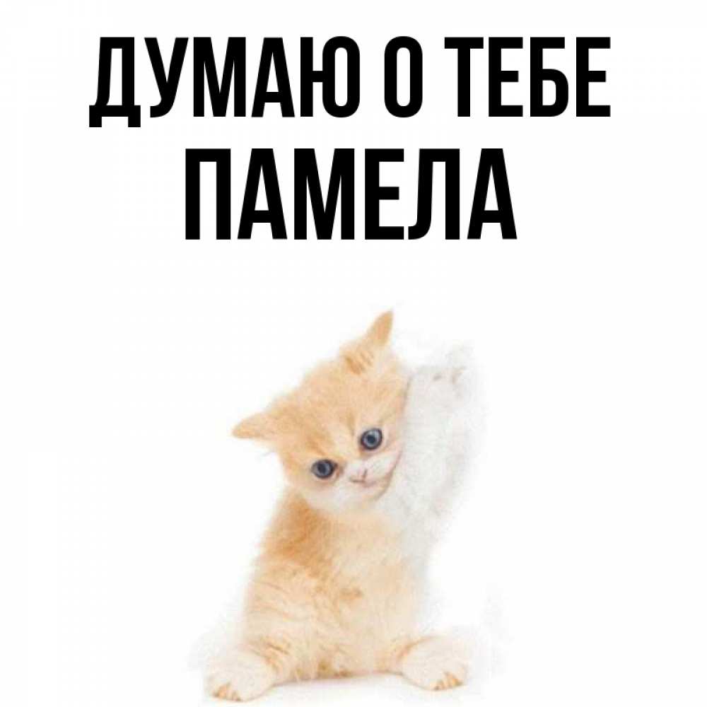 Открытка на каждый день с именем, Памела Думаю о тебе зверушки и милота Прикольная открытка с пожеланием онлайн скачать бесплатно 