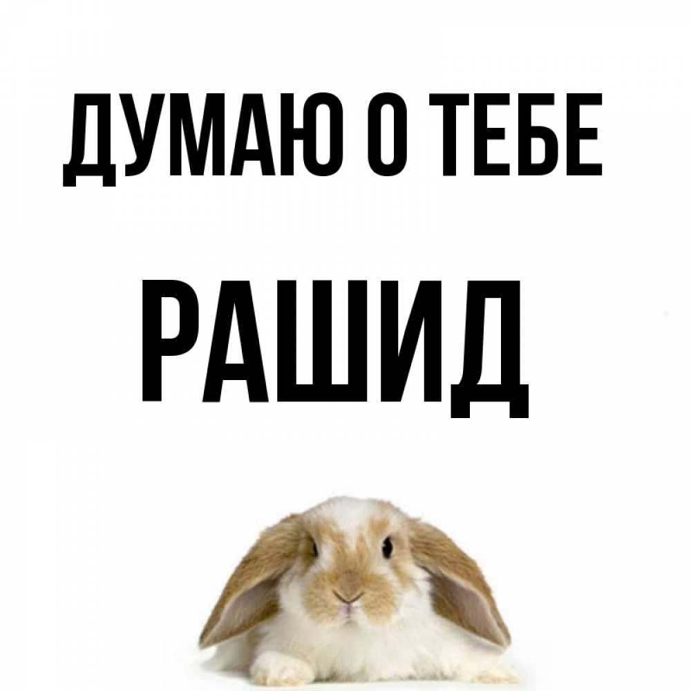 Открытка на каждый день с именем, Рашид Думаю о тебе подписать своими руками онлайн Прикольная открытка с пожеланием онлайн скачать бесплатно 