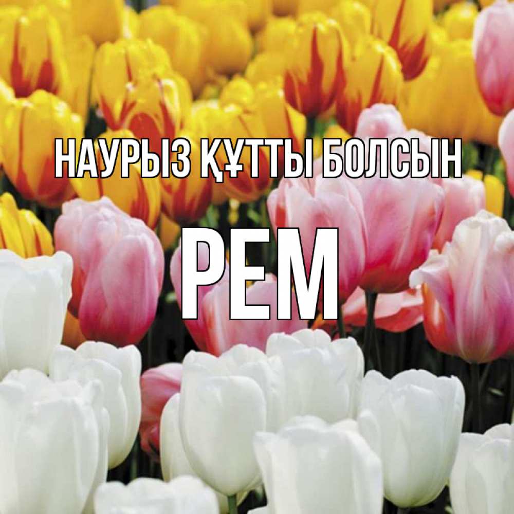 Открытка на каждый день с именем, Рем Наурыз құтты болсын разноцветные цветы Прикольная открытка с пожеланием онлайн скачать бесплатно 