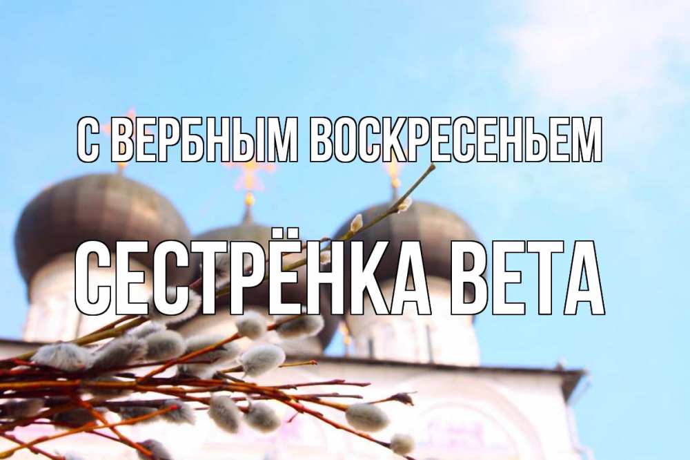 Открытка на каждый день с именем, Сестрёнка-Вета С вербным воскресеньем верба Прикольная открытка с пожеланием онлайн скачать бесплатно 