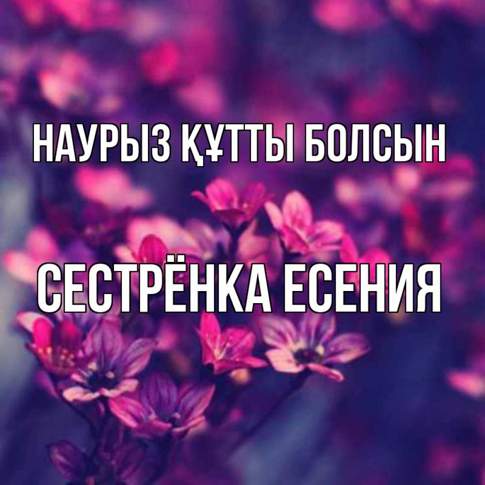Открытка на каждый день с именем, Сестрёнка-Есения Наурыз құтты болсын небольшие цветы 1 Прикольная открытка с пожеланием онлайн скачать бесплатно 