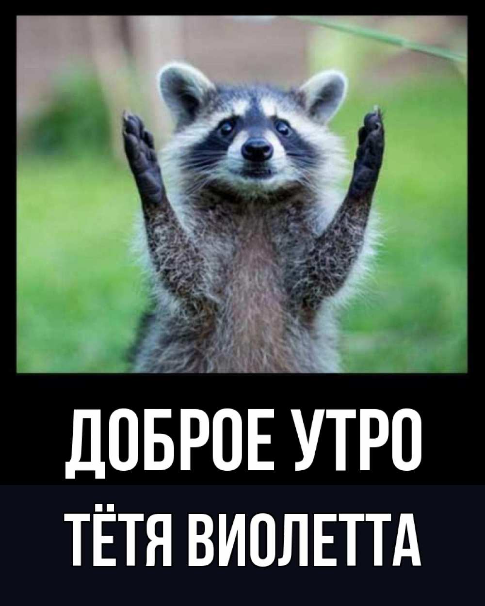 Открытка на каждый день с именем, Тётя-Виолетта Доброе утро хорошее настроение утречком Прикольная открытка с пожеланием онлайн скачать бесплатно 