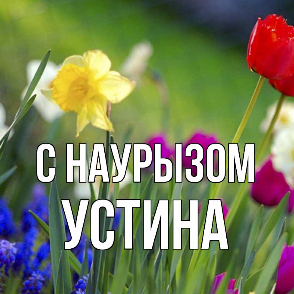 Открытка на каждый день с именем, Устина С наурызом праздник весны наурыз 3 Прикольная открытка с пожеланием онлайн скачать бесплатно 