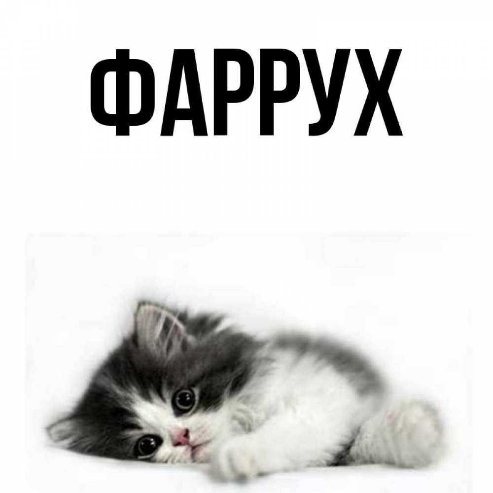 Картинка  с именем , Фаррух