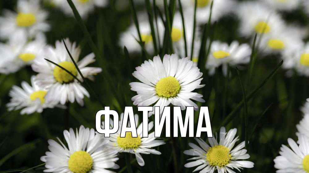 Открытка на каждый день с именем, Фатима Главная с днем семьи  2 Прикольная открытка с пожеланием онлайн скачать бесплатно 