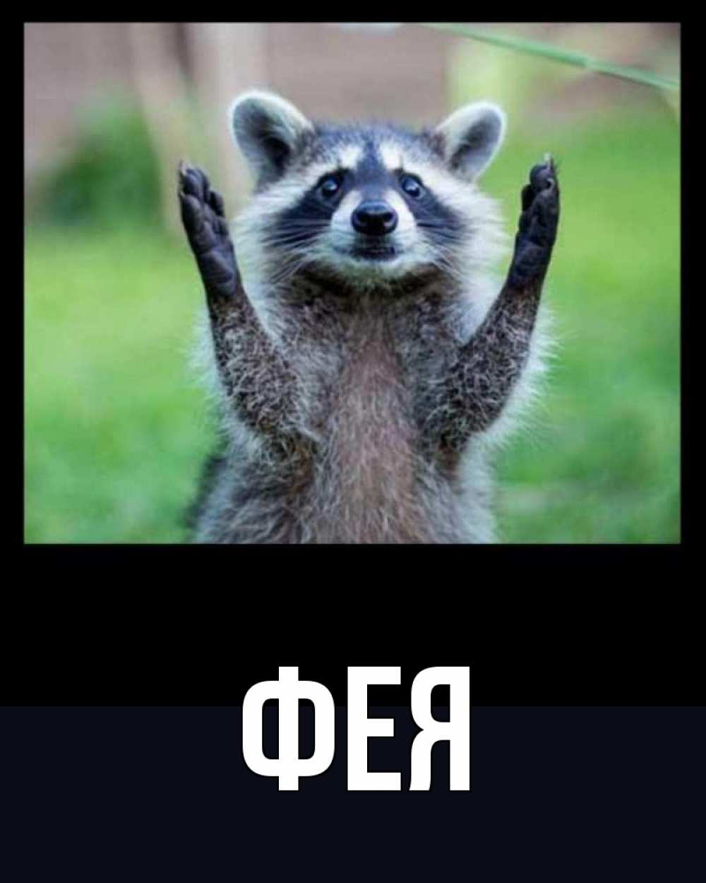 Открытка на каждый день с именем, Фея Главная хорошее настроение утречком Прикольная открытка с пожеланием онлайн скачать бесплатно 