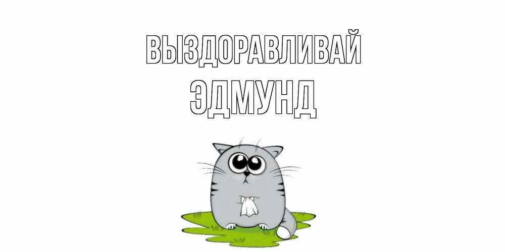 Открытка на каждый день с именем, Эдмунд Выздоравливай кот и открытки про выздоровление Прикольная открытка с пожеланием онлайн скачать бесплатно 