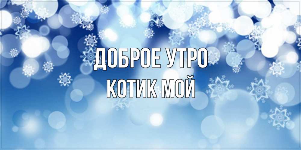 Открытка на каждый день с именем, котик-мой Доброе утро супер открытка Прикольная открытка с пожеланием онлайн скачать бесплатно 