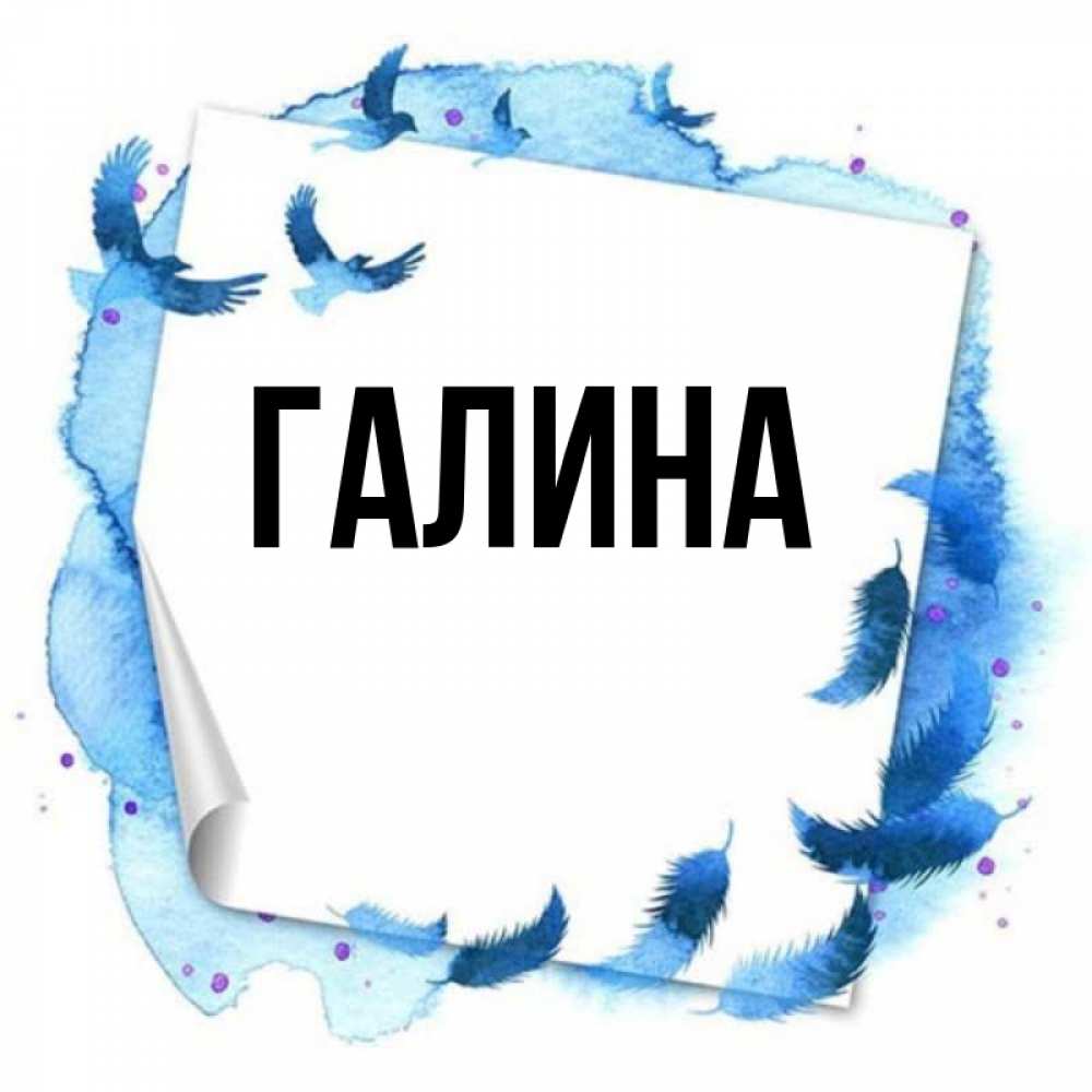 Открытка на каждый день с именем, Галина Главная красивые птицы летят Прикольная открытка с пожеланием онлайн скачать бесплатно 