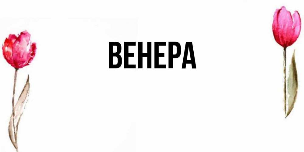 Смешные, картинки с именем венера