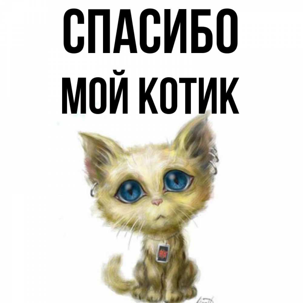 Название моего кота. Название моего кота
