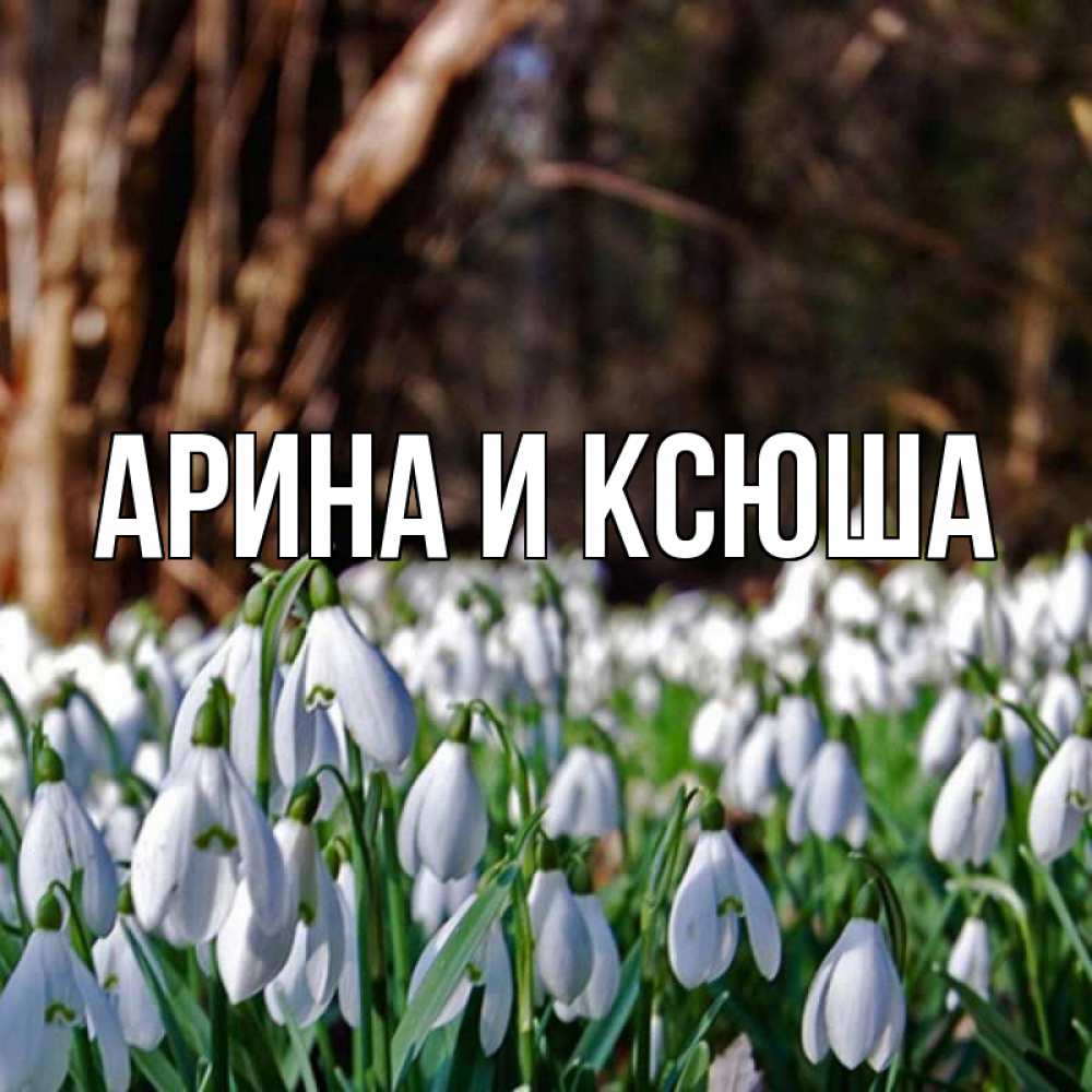 Открытка на каждый день с именем, Арина-и-Ксюша Главная с подснежниками 1 Прикольная открытка с пожеланием онлайн скачать бесплатно 