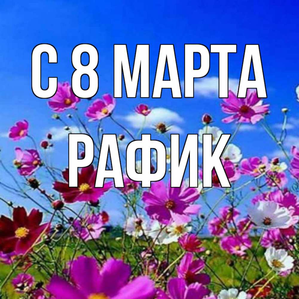 Картинка С 8 марта, Рафик
