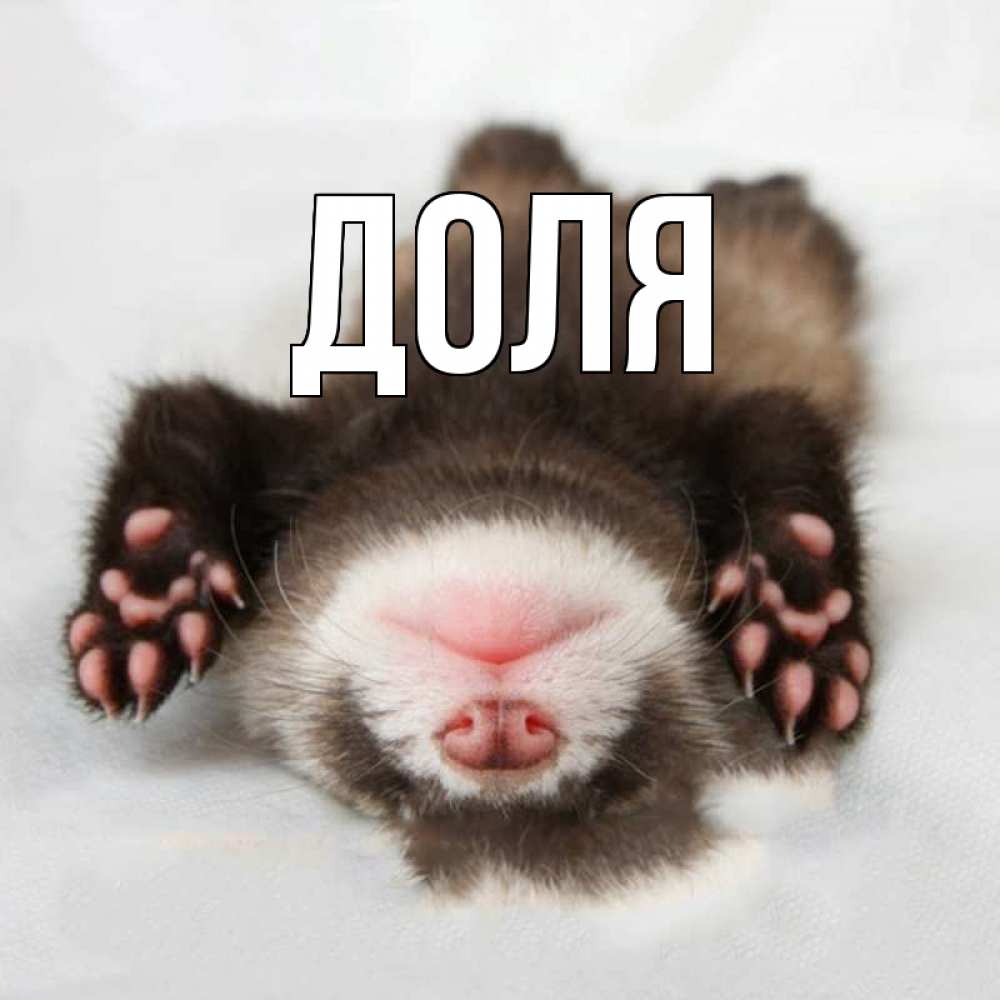 Открытка на каждый день с именем, Доля Главная зверек Прикольная открытка с пожеланием онлайн скачать бесплатно 