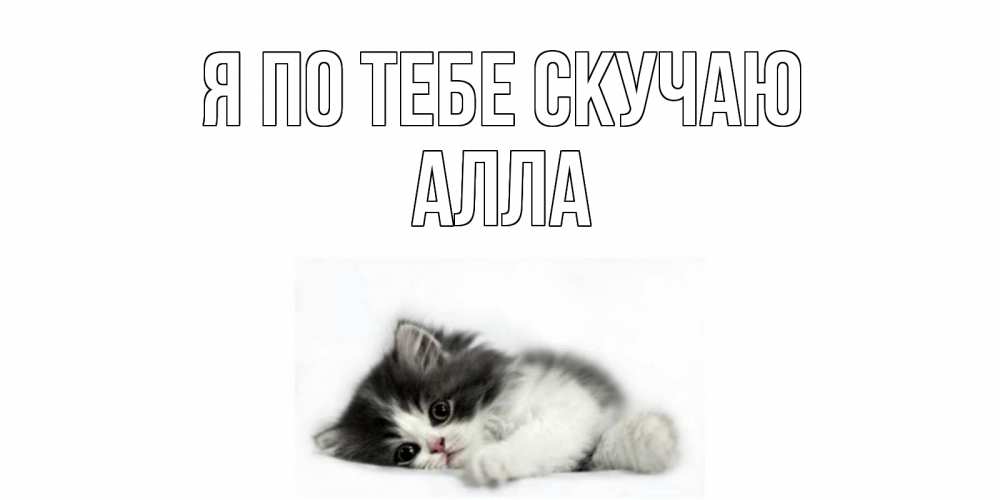 Открытка на каждый день с именем, Алла Я по тебе скучаю кот, скука Прикольная открытка с пожеланием онлайн скачать бесплатно 