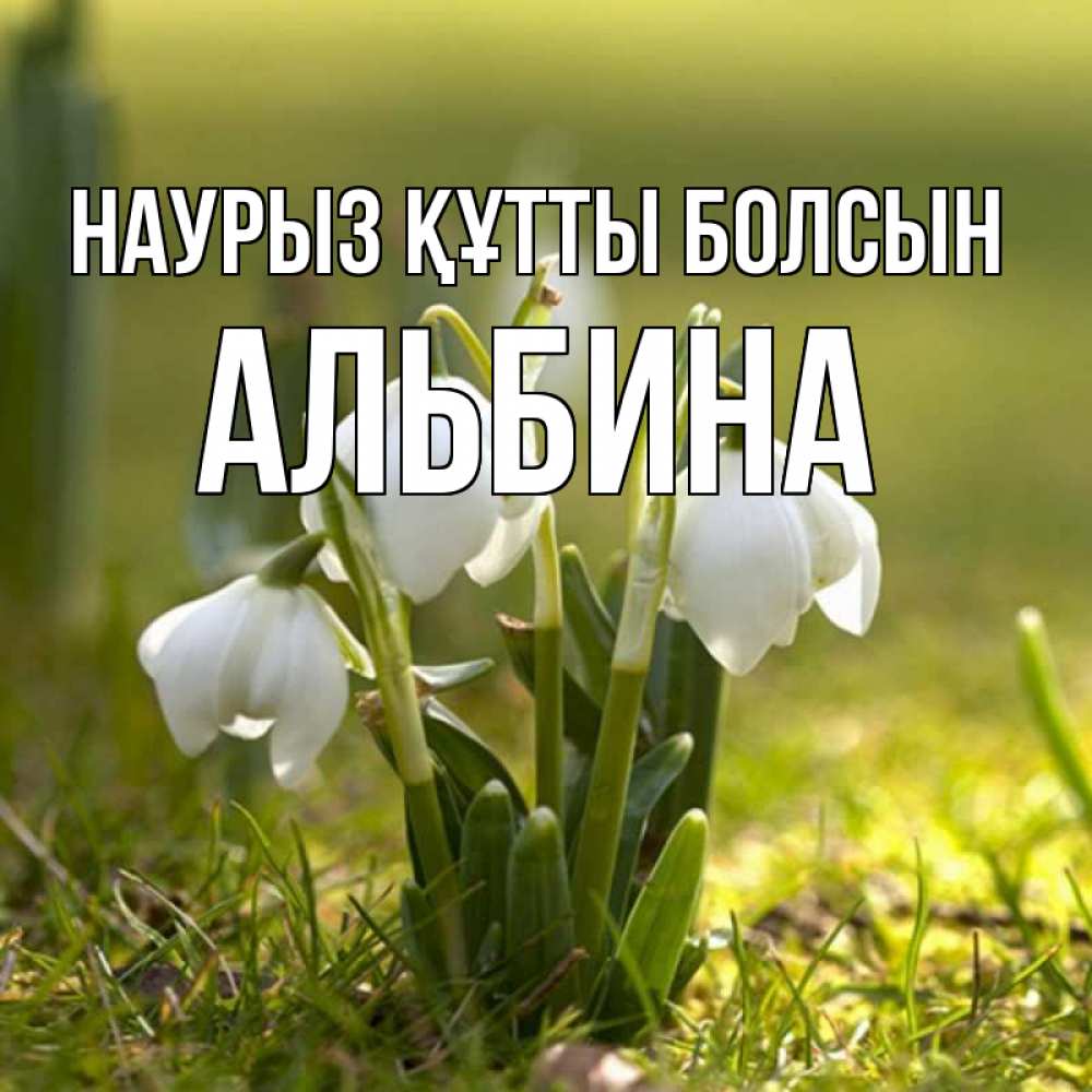 Открытка на каждый день с именем, Альбина Наурыз құтты болсын ранние цветы 2 Прикольная открытка с пожеланием онлайн скачать бесплатно 