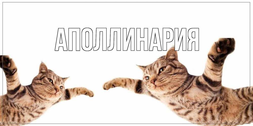 Открытка на каждый день с именем, Аполлинария Главная хорошего дня Прикольная открытка с пожеланием онлайн скачать бесплатно 