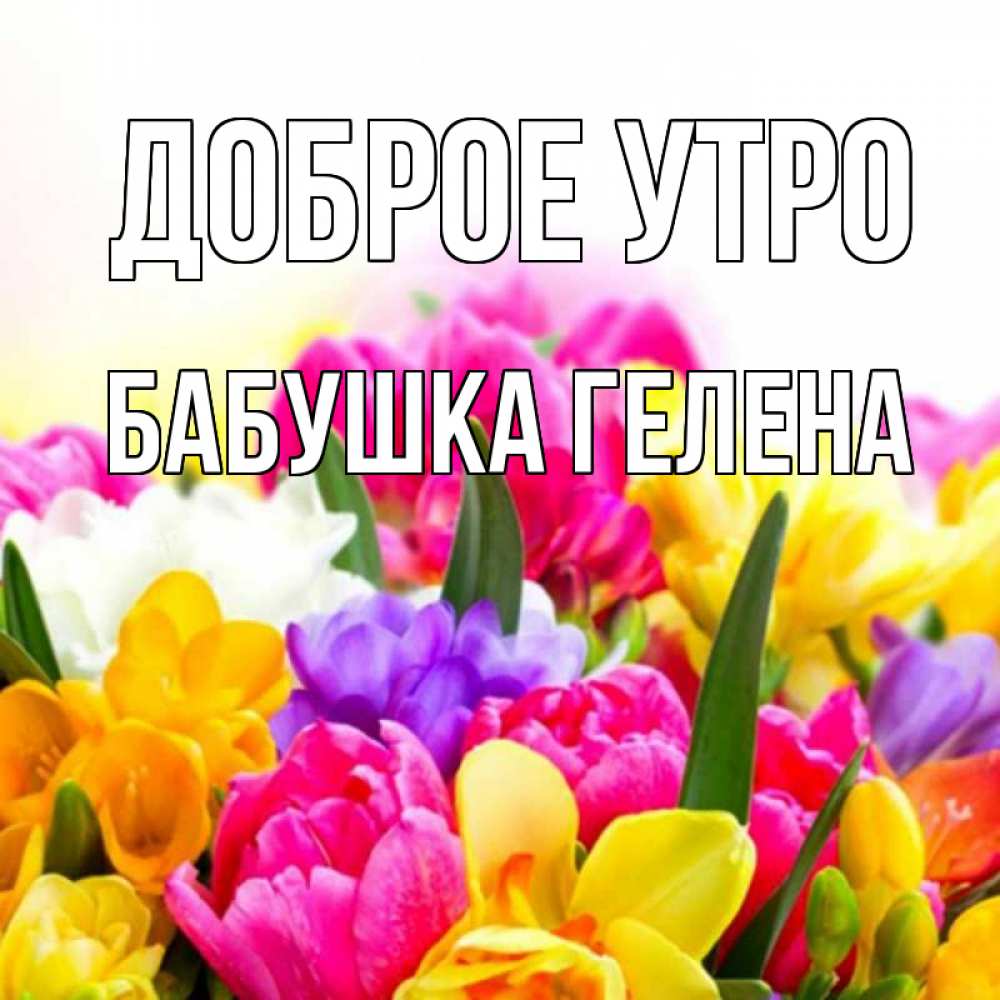 Открытка на каждый день с именем, Бабушка-Гелена Доброе утро создать открытку со свое подписью Прикольная открытка с пожеланием онлайн скачать бесплатно 