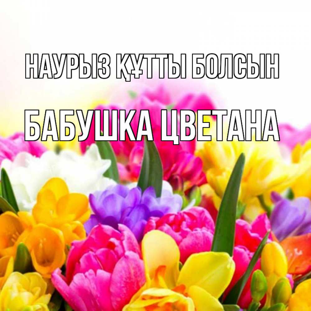 Открытка на каждый день с именем, Бабушка-Цветана Наурыз құтты болсын тюльпаны Прикольная открытка с пожеланием онлайн скачать бесплатно 