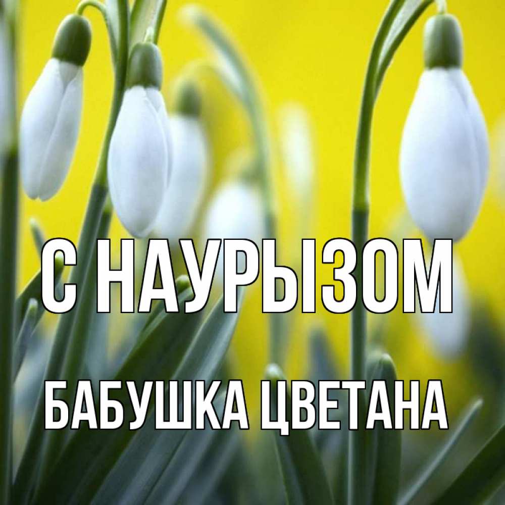 Открытка на каждый день с именем, Бабушка-Цветана С наурызом весенние цветы Прикольная открытка с пожеланием онлайн скачать бесплатно 