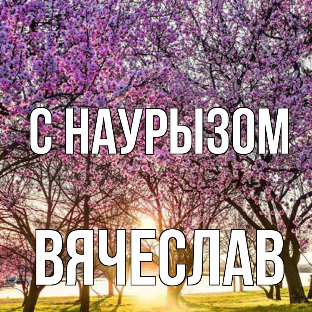Открытка на каждый день с именем, Вячеслав С наурызом праздник весны наурыз Прикольная открытка с пожеланием онлайн скачать бесплатно 
