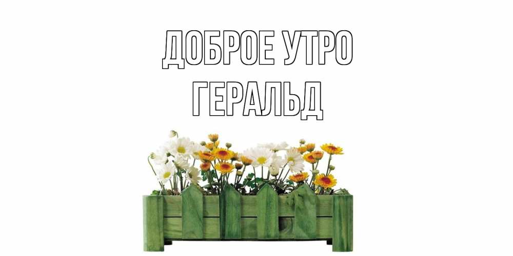 Открытка на каждый день с именем, Геральд Доброе утро цветы Прикольная открытка с пожеланием онлайн скачать бесплатно 